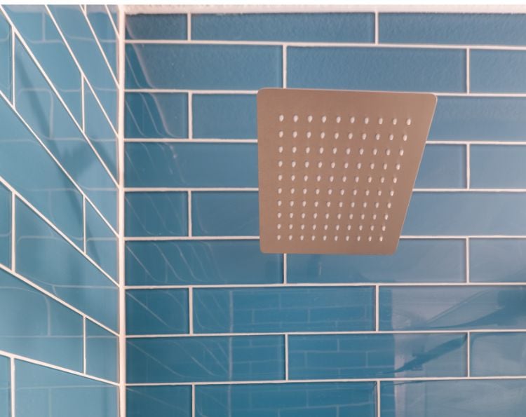 Summer Refresh Rainhead Shower