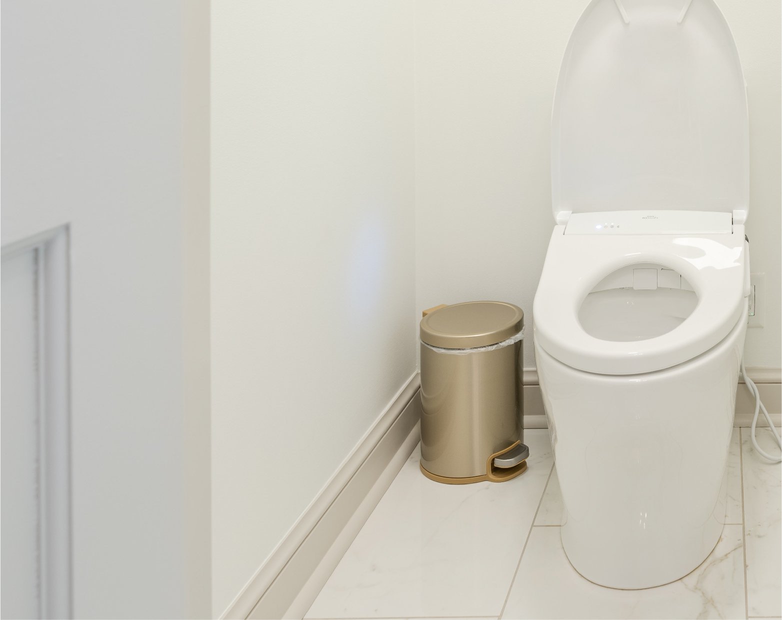 2024 2 Tech Toilet Large.jpg